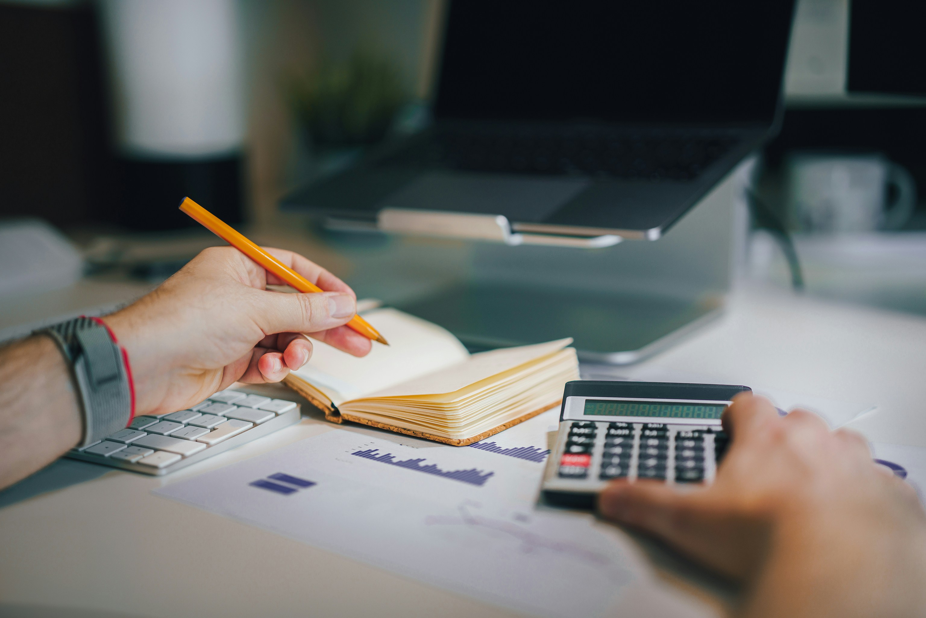 Accounting professionals